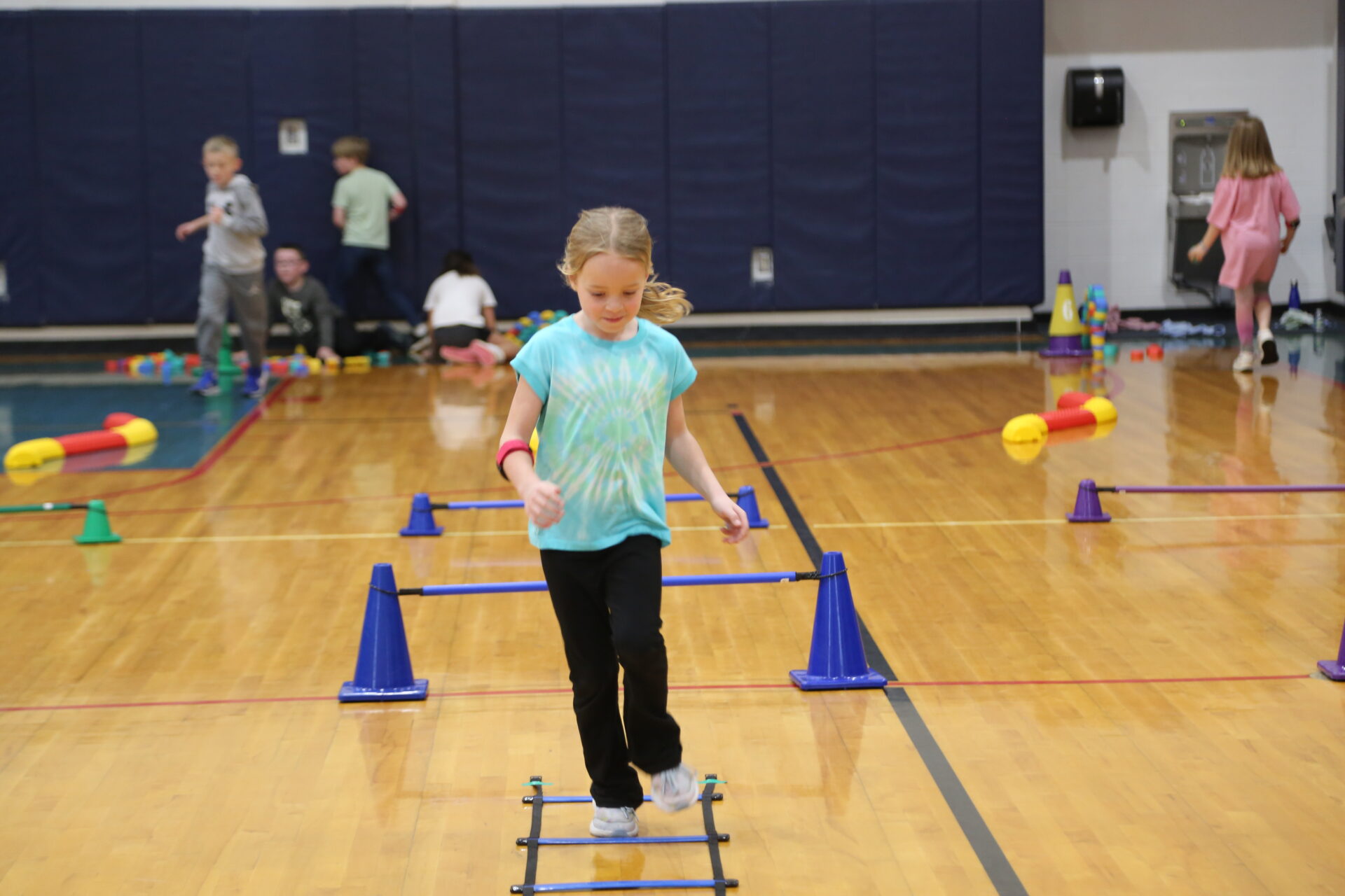 Read more about the article A game changer for physical education  