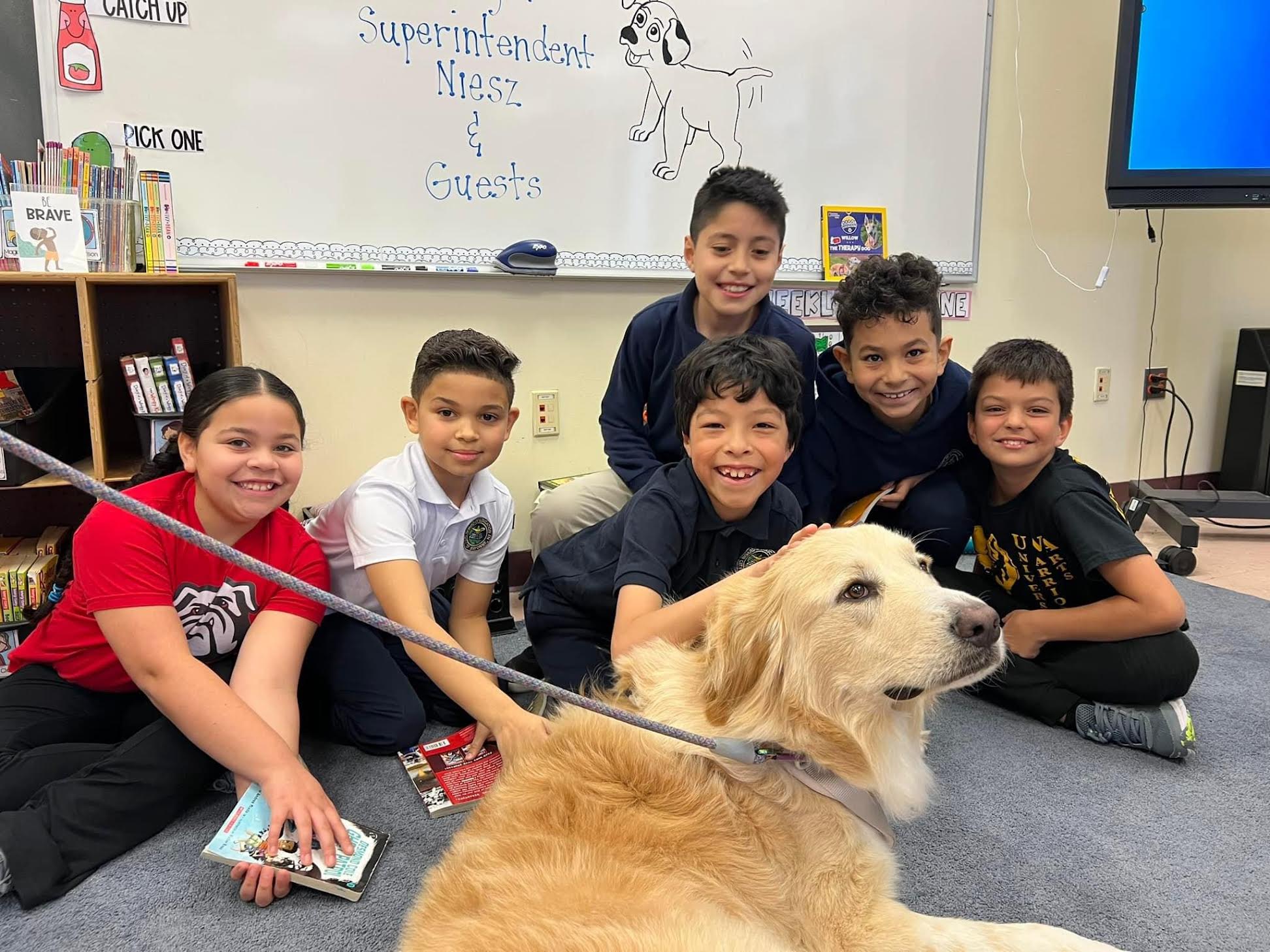 Read more about the article More schools embracing therapy dogs to support students 