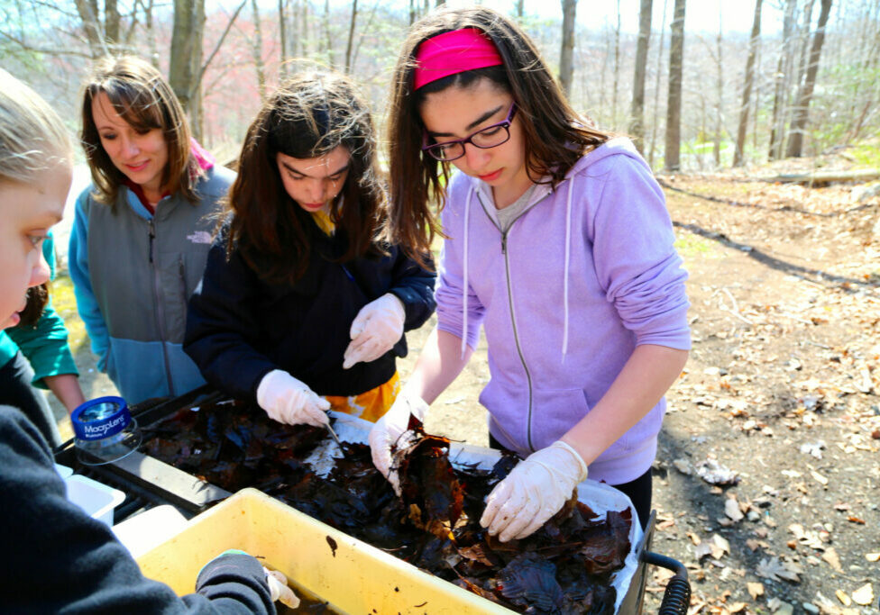 A previous Hipp Grant program from West Milford.