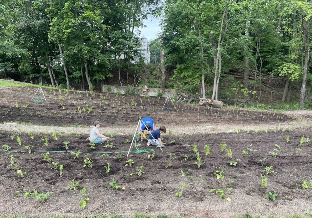 Students, parents and teachers plant hundreds of native plant plugs from Xerces Society in spring 2023. 